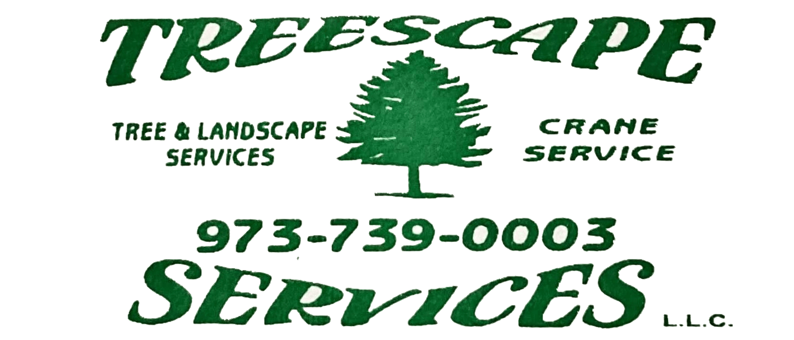 Treescape Services LLC